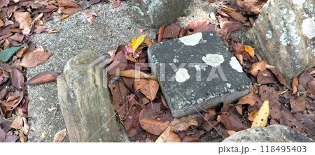 水準点 永久標識 118495403