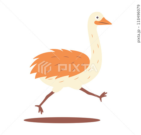 Cute Ostrich Big Bird Wildlife Animal Character is Running Fast Cute Ostrich Big Bird Wildlife Animal Character is Running Fast 118496079