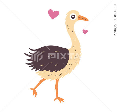 Cute Ostrich Big Bird Wildlife Animal Character is Walking Cute Ostrich Big Bird Wildlife Animal Character is Walking 118496084
