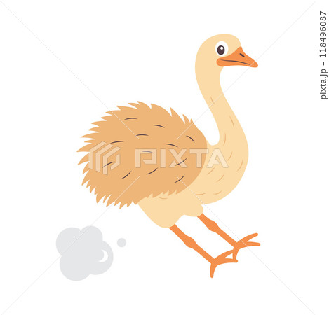 Cute Ostrich Big Bird Wildlife Animal Character is Braking to Stop Cute Ostrich Big Bird Wildlife Animal Character is Braking to Stop 118496087