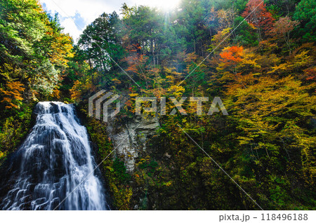 紅葉した番所大滝 乗鞍高原 紅葉した番所大滝 乗鞍高原 118496188