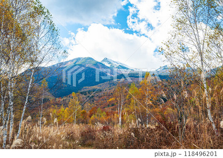 紅葉の乗鞍高原と冠雪した乗鞍岳 紅葉の乗鞍高原と冠雪した乗鞍岳 118496201
