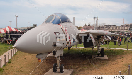 アメリカ海軍F-14Aトムキャットのゲートガード 118497092