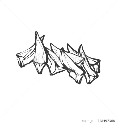 ヤゲン軟骨の手描き筆絵風イラスト ヤゲン軟骨の手描き筆絵風イラスト 118497360