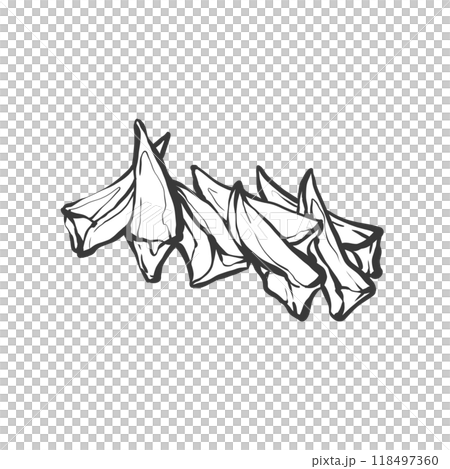 ヤゲン軟骨の手描き筆絵風イラスト ヤゲン軟骨の手描き筆絵風イラスト 118497360