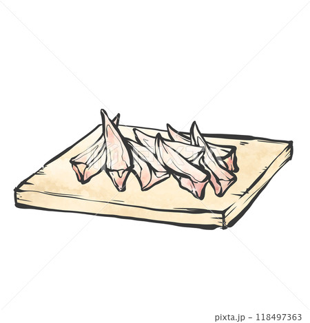 ヤゲン軟骨の手描き筆絵風イラスト ヤゲン軟骨の手描き筆絵風イラスト 118497363