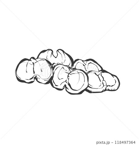 砂肝の手描き筆絵風イラスト 118497364