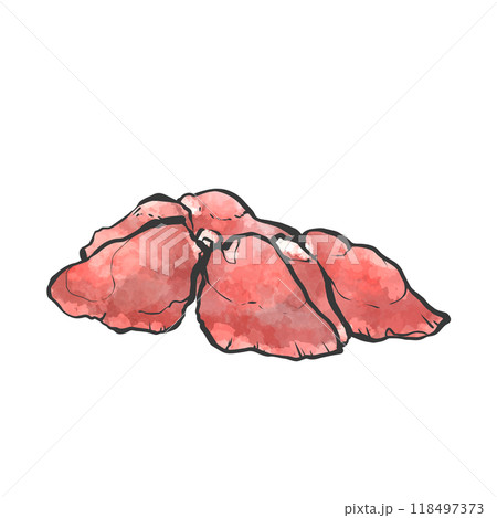 鶏レバーの手描き筆絵風イラスト 118497373