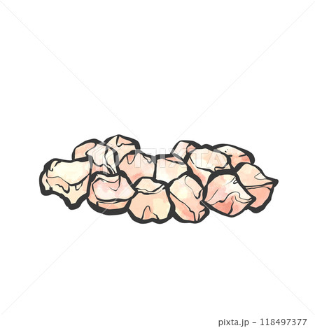 鶏ひざ軟骨の手描き筆絵風イラスト 118497377