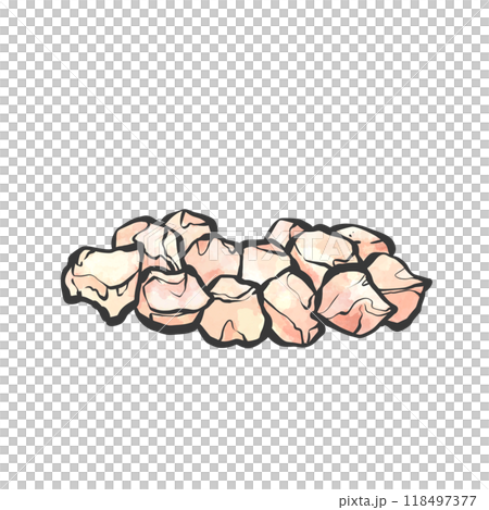 Hand-drawn brush-style illustration of chicken knee cartilage 118497377