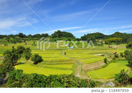 稲渕 棚田百選 稲渕 棚田百選 118497850