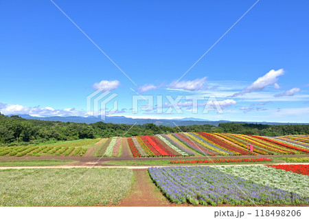 宮城　初秋 やくらいガーデン 118498206