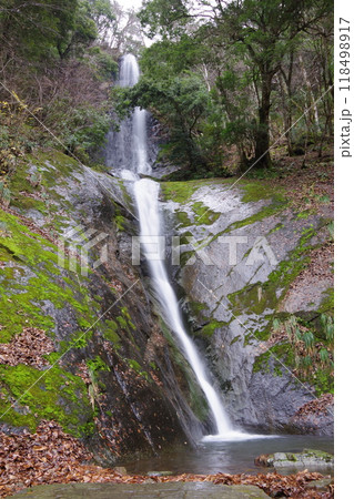 兵庫県香美町　猿尾滝 118498917