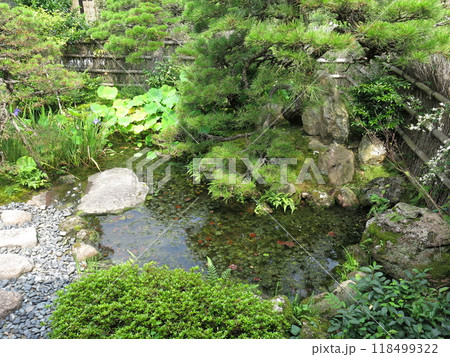 松江市の小泉八雲旧居にある北の庭 118499322