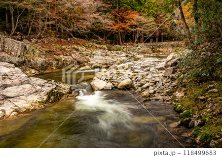 奥津渓の秋　下流から見た琴淵8　岡山県苫田郡鏡野町 118499683