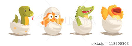 Chicks and Reptiles Hatch from Cracked Egg Shell Vector Set Chicks and Reptiles Hatch from Cracked Egg Shell Vector Set 118500508