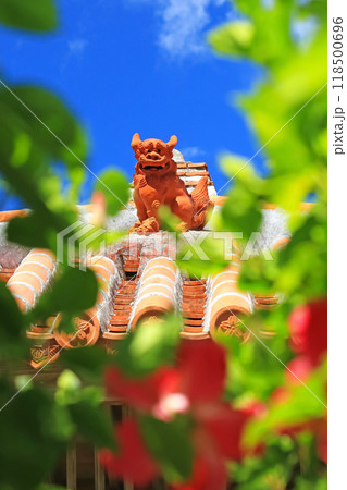 めんそーれ沖縄　青い空と赤いハイビスカスとシーサー 118500696