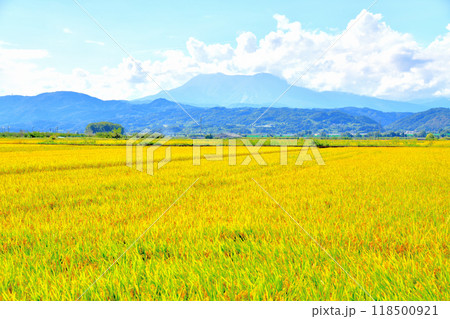 小布施町より飯縄山(飯綱山)方面を望む(長野県小布施町)【2024.9】 118500921