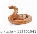 Wooden snake figure isolated on white background. Chinese zodiac concept for new year 2025 118501041