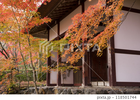秋色の常寂光寺 118501744