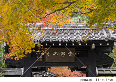錦秋の常寂光寺 錦秋の常寂光寺 118501756