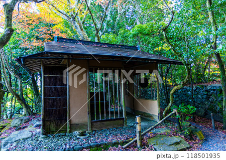 滋賀県　秋の旧竹林院 118501935