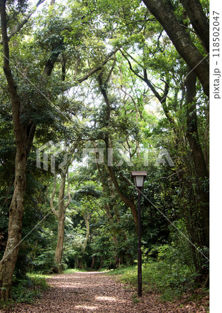 長崎県大村市　大村公園　玖島城跡周辺の風景 118502047