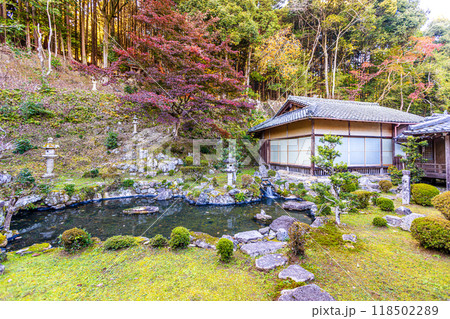 滋賀県　西教寺の紅葉 118502289