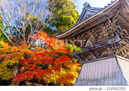 滋賀県　西教寺の紅葉 118502291