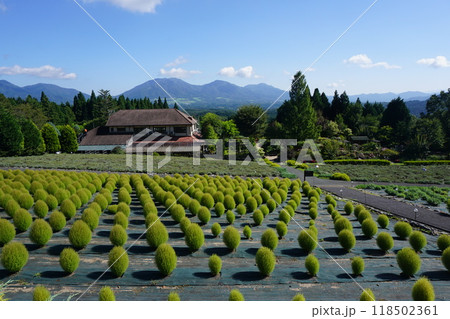 岡山県真庭市蒜山にあるハーブガーデン：夏の風景 118502361