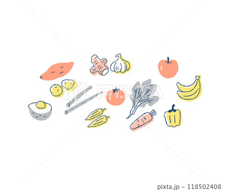いろいろな野菜や果物 いろいろな野菜や果物 118502408