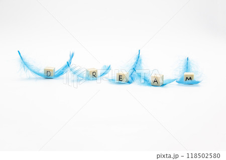 The word DREAM written on wooden cubes which lay on the blue feathers against white background The word DREAM written on wooden cubes which lay on the blue feathers against white background 118502580