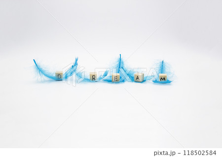 The word DREAM written on wooden cubes which lay on the blue feathers against white background 118502584