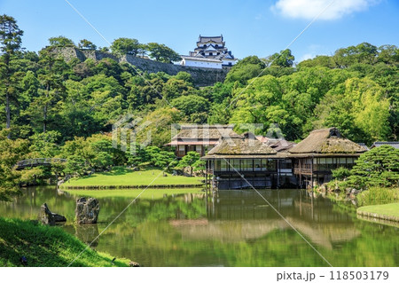 彦根市、玄宮園から眺める国宝彦根城 118503179