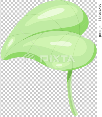 green tree with green leaf 118503235