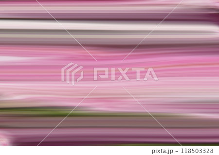Colorful lines with pink, green and plum colors in abstract background texture. 118503328