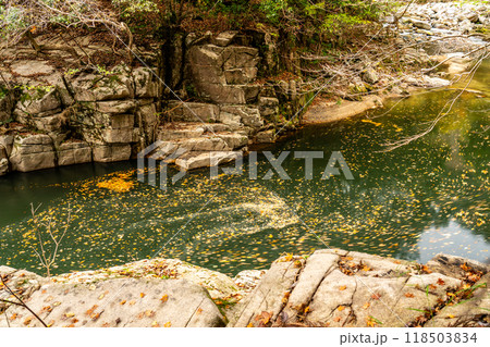 奥津渓の秋 流れゆく落ち葉1 岡山県苫田郡鏡野町 奥津渓の秋 流れゆく落ち葉1 岡山県苫田郡鏡野町 118503834
