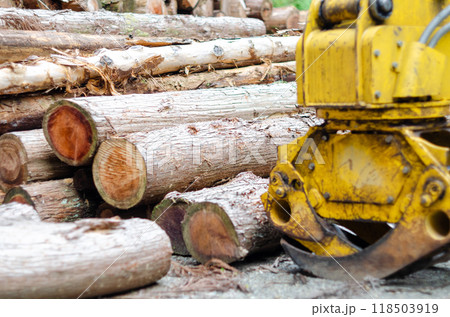 バイオマス発電用に使用される間伐材とグラップル 118503919