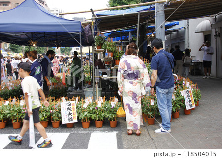 浴衣姿で朝顔市にお出かけ。下町の年に一度の祭りに普段と気持ちを変えて浴衣姿を味わう 浴衣姿で朝顔市にお出かけ。下町の年に一度の祭りに普段と気持ちを変えて浴衣姿を味わう 118504015