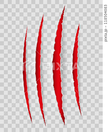 trace of scratches with claws until blood vector illustration 118504083