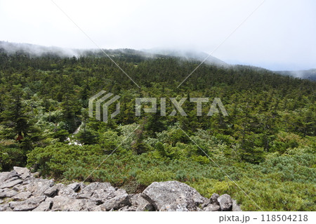 西大巓・西吾妻山 西大巓・西吾妻山 118504218