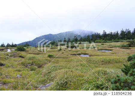 西大巓・西吾妻山 118504236