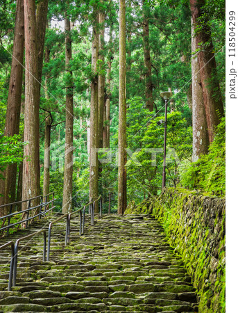 世界遺産 熊野古道 世界遺産 熊野古道 118504299