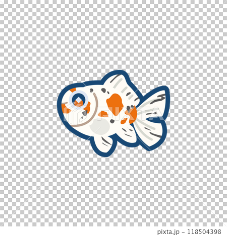 かわいい金魚(江戸地金)のイラスト かわいい金魚(江戸地金)のイラスト 118504398