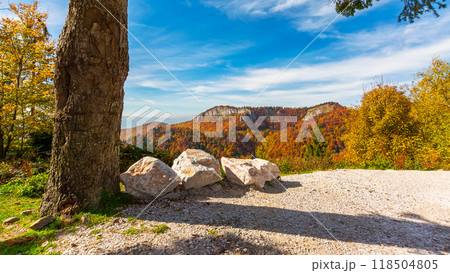 sunny autumn day in mountains. wonderful views of carpathian landscape. trees in colorful foliage on the hillside. ridge in the distance beneath a blue sky with clouds 118504805