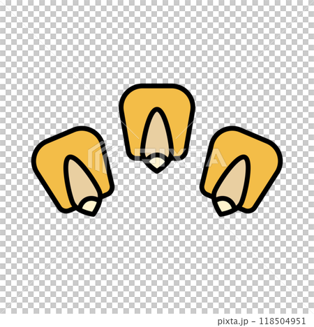 玉米種子 118504951