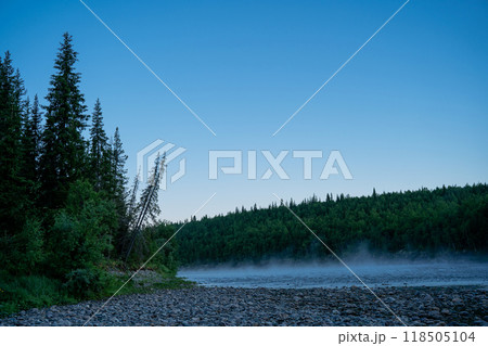 Fog on the rocky shore near the forest 118505104