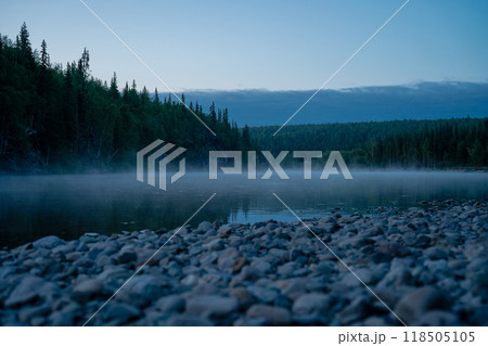 Fog over the night green forest 118505105