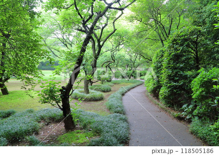 戸定が丘歴史公園　梅園 118505186