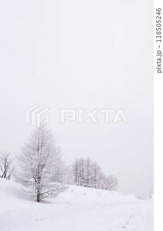 カラマツと厳冬期の雪道（縦） 118505246